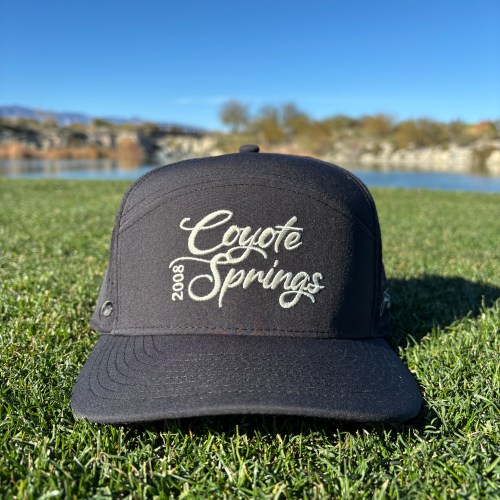 Coyote Springs Script - Black