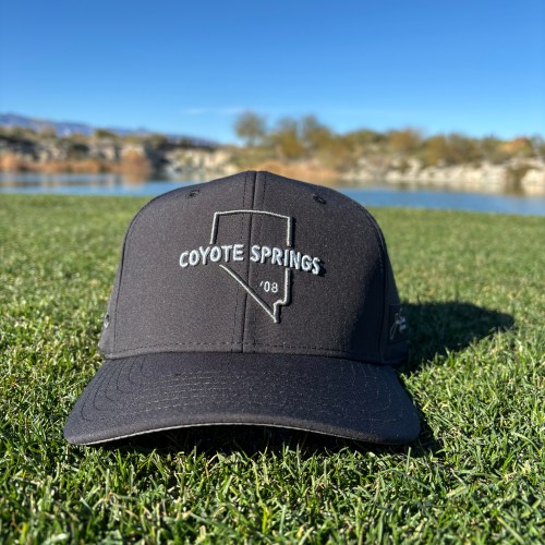 Coyote Springs State Outline - Black