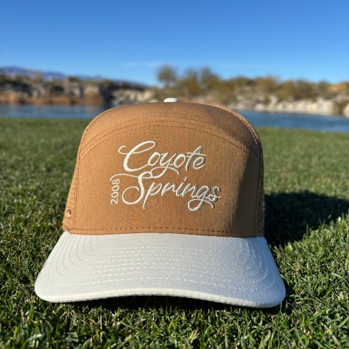 Coyote Springs Script - Brown