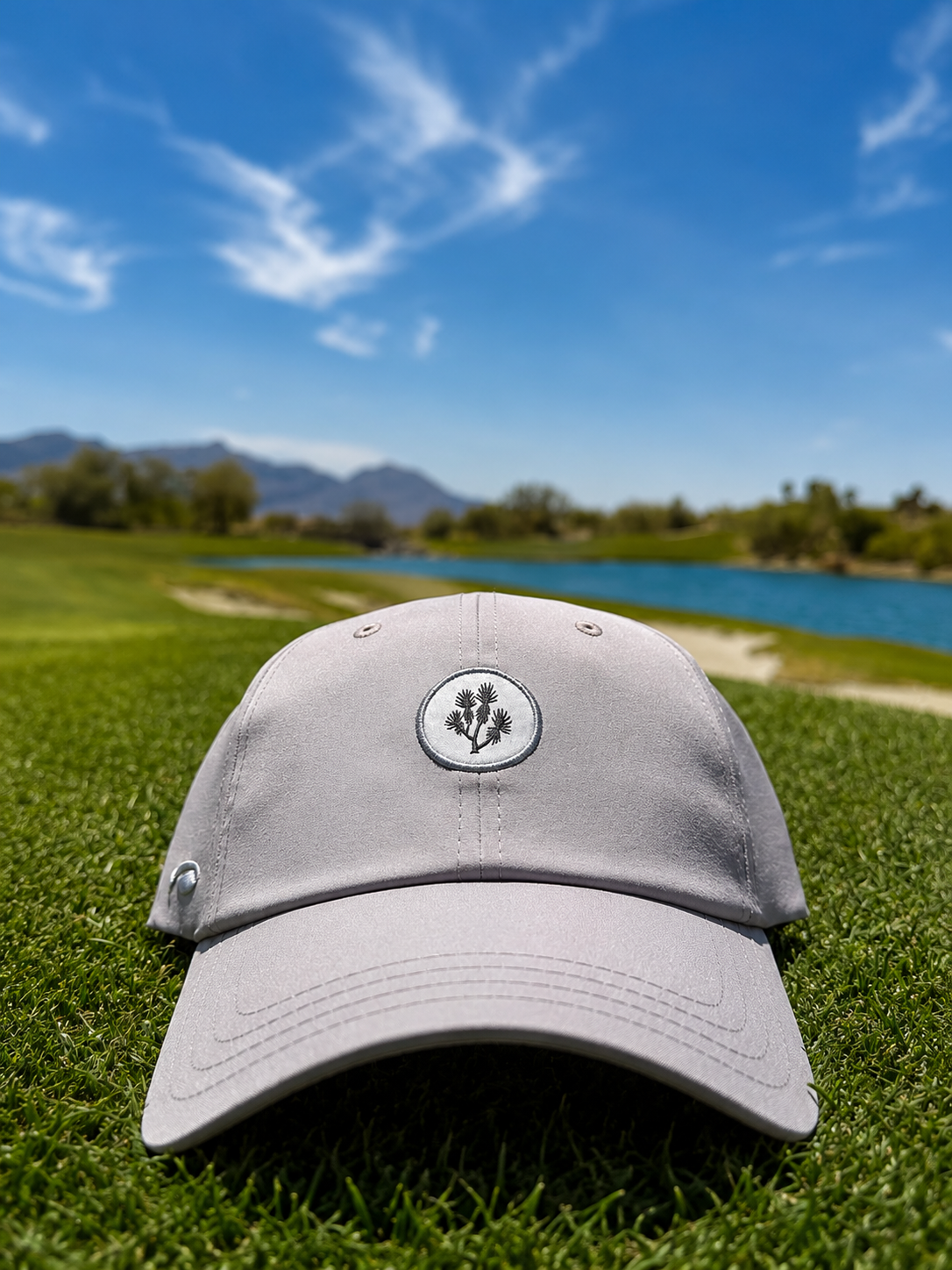 Grey Low Cut Logo Hat